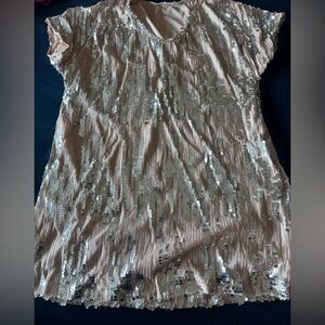 Sequin Embellished Gold Women's long top or mini dress! Tan w/ silver sparkles